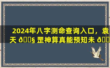 2024年八字测命查询入口，袁天 🐧 罡神算真能预知未 🐧 来